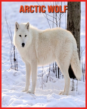 Arctic wolf: Fun Facts & Cool Pictures