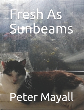 Paperback Fresh As Sunbeams Book