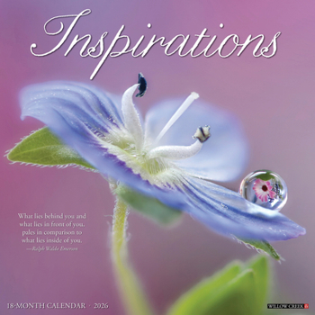 Calendar Inspirations 2026 Wall Calendar Book