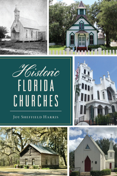 Paperback Historic Florida Churches Book