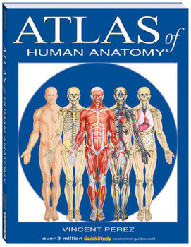 Paperback Atlas of Human Anatomy Book