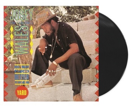 Vinyl No Way Better Than Yard Book