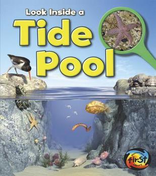 Tide Pool - Book  of the Usborne Look Inside