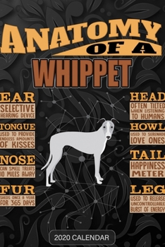 Paperback Anatomy Of A Whippet: Whippet 2020 Calendar - Customized Gift For Whippet Dog Owner Book
