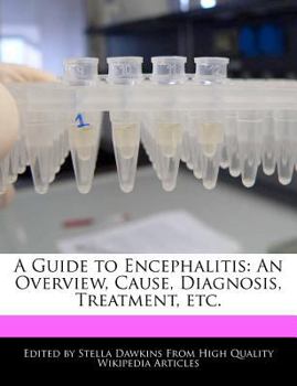 Paperback A Guide to Encephalitis: An Overview, Cause, Diagnosis, Treatment, Etc. Book