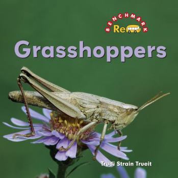 Grasshoppers - Book  of the Backyard Safari