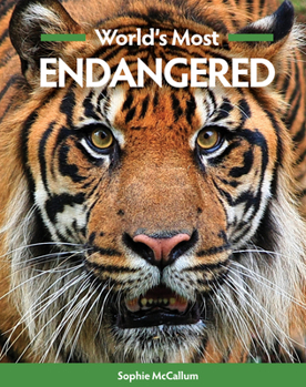 Paperback World's Most Endangered Book