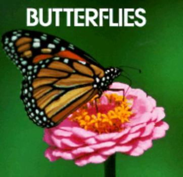 Paperback Butterflies (Animal Information) Book