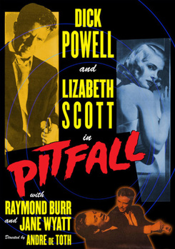 DVD Pitfall Book