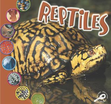 Library Binding Reptiles Book