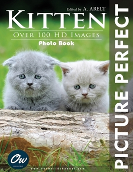 Paperback Kitten: Picture Perfect Photo Book