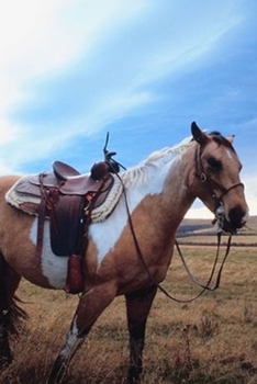 Paperback 2020 Daily Planner Horse Photo Equine Trusted Steed 388 Pages: 2020 Planners Calendars Organizers Datebooks Appointment Books Agendas Book