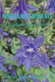Paperback Mindfulness Moments Downloaded from Within Book