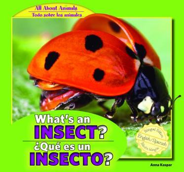 Library Binding What's an Insect? / ¿Qué Es Un Insecto? Book