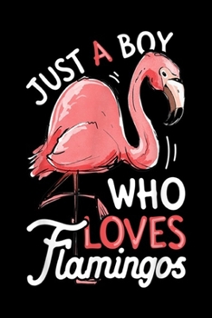 Paperback Just A Boy Who Loves Flamingos: Just A Boy Who Loves Flamingos Pink Flamingo Lovers Journal/Notebook Blank Lined Ruled 6x9 100 Pages Book