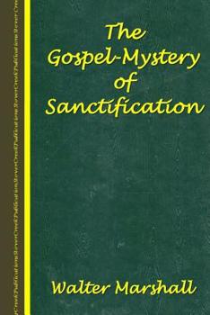 Paperback The Gospel-Mystery of Sanctification Book