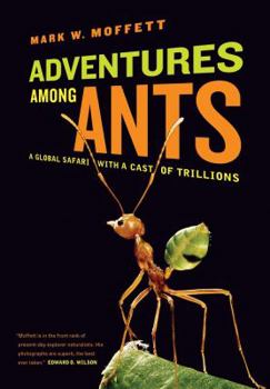 Hardcover Adventures Among Ants: A Global Safari with a Cast of Trillions Book