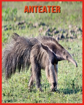 Paperback Anteater: Children Book of Fun Facts & Amazing Photos Book