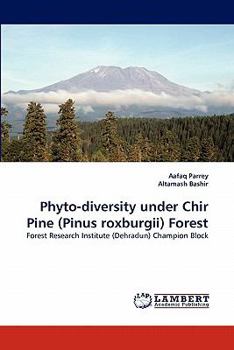 Paperback Phyto-Diversity Under Chir Pine (Pinus Roxburgii) Forest Book