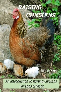 Paperback Raising Chickens - An Introduction To Raising Chickens For Eggs & Meat Book