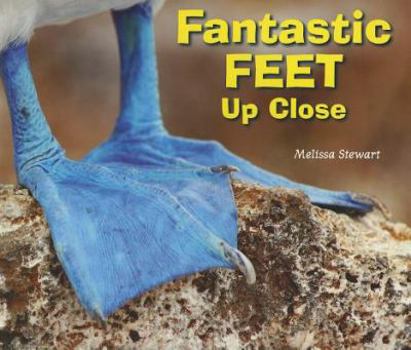 Fantastic Feet Up Close - Book  of the Animal Bodies Up Close