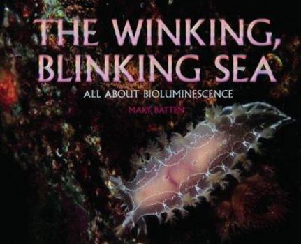 Library Binding Winking Blinking Sea: All about Book