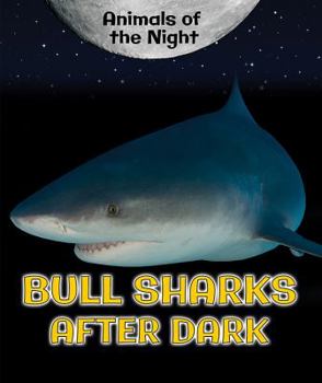 Bull Sharks After Dark - Book  of the Animals of the Night