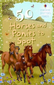 Cards 50 Horses and Ponies to Spot Book