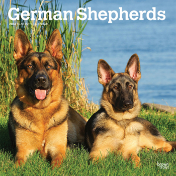 Calendar German Shepherds 2024 Square Book