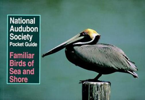 National Audubon Society Pocket Guide to Familiar Birds of Sea and Shore (National Audubon Society Pocket Guides) - Book  of the National Audubon Society Pocket Guides