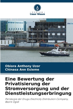 Eine Bewertung der Privatisierung der Stromversorgung und der Dienstleistungserbringung (German Edition)