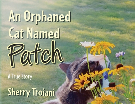 Paperback An Orphaned Cat Named Patch: A True Story Book