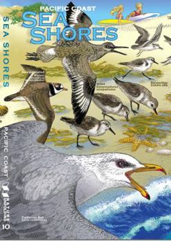 Pamphlet SEA SHORE -Pacific Coast Book