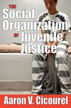 Paperback The Social Organization of Juvenile Justice Book