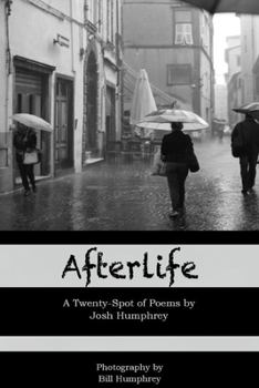 Paperback Afterlife Book