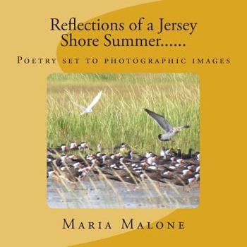 Paperback Reflections of a Jersey Shore Summer...... Book