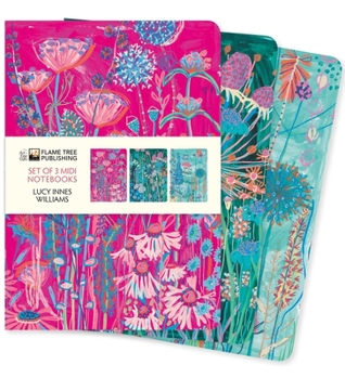 Misc. Lucy Innes Williams Set of 3 MIDI Notebooks Book