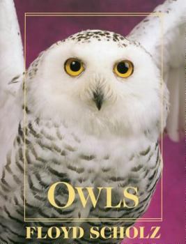 Hardcover Owls Book