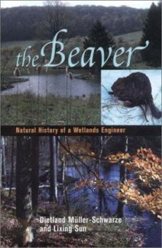 Hardcover The Beaver: Ecology and Behavior of a Wetland Engineer Book