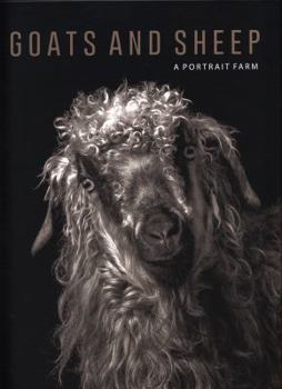 Hardcover Goats and Sheep. a Portrait Farm Book