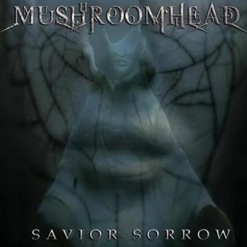 Vinyl Savior Sorrow Book