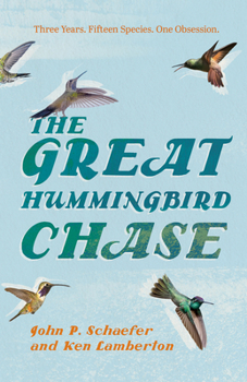 The Great Hummingbird Chase