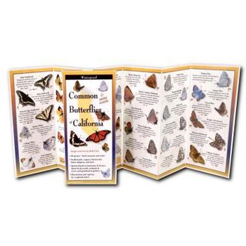 Paperback Common Butterflies of California Book