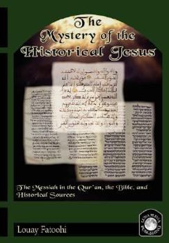 Paperback The Mystery of the Historical Jesus Book