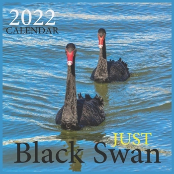 Just Black Swan CALENDAR 2022: Official Black Swan CALENDAR 2022, Cute Animal Calendar,12 Month, Office Calendar Swan Lovers, Square CALENDAR 2022