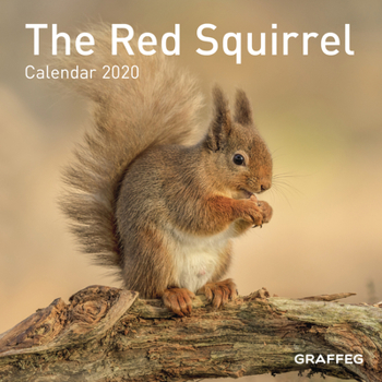 Calendar The Red Squirrel Calendar 2020 Book