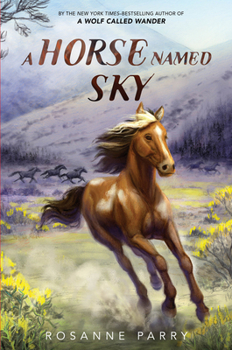 Hardcover A Horse Named Sky Book