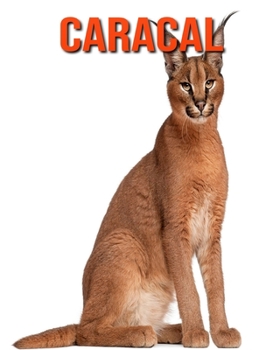 Paperback Caracal: Amazing Facts about Caracal Book