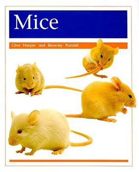 Paperback Pets: Mice: Individual Student Edition Orange (Levels 15-16) Book