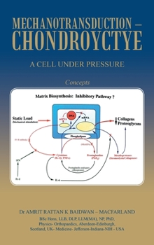 Hardcover Mechanotransduction - Chondroyctye: A Cell Under Pressure Book